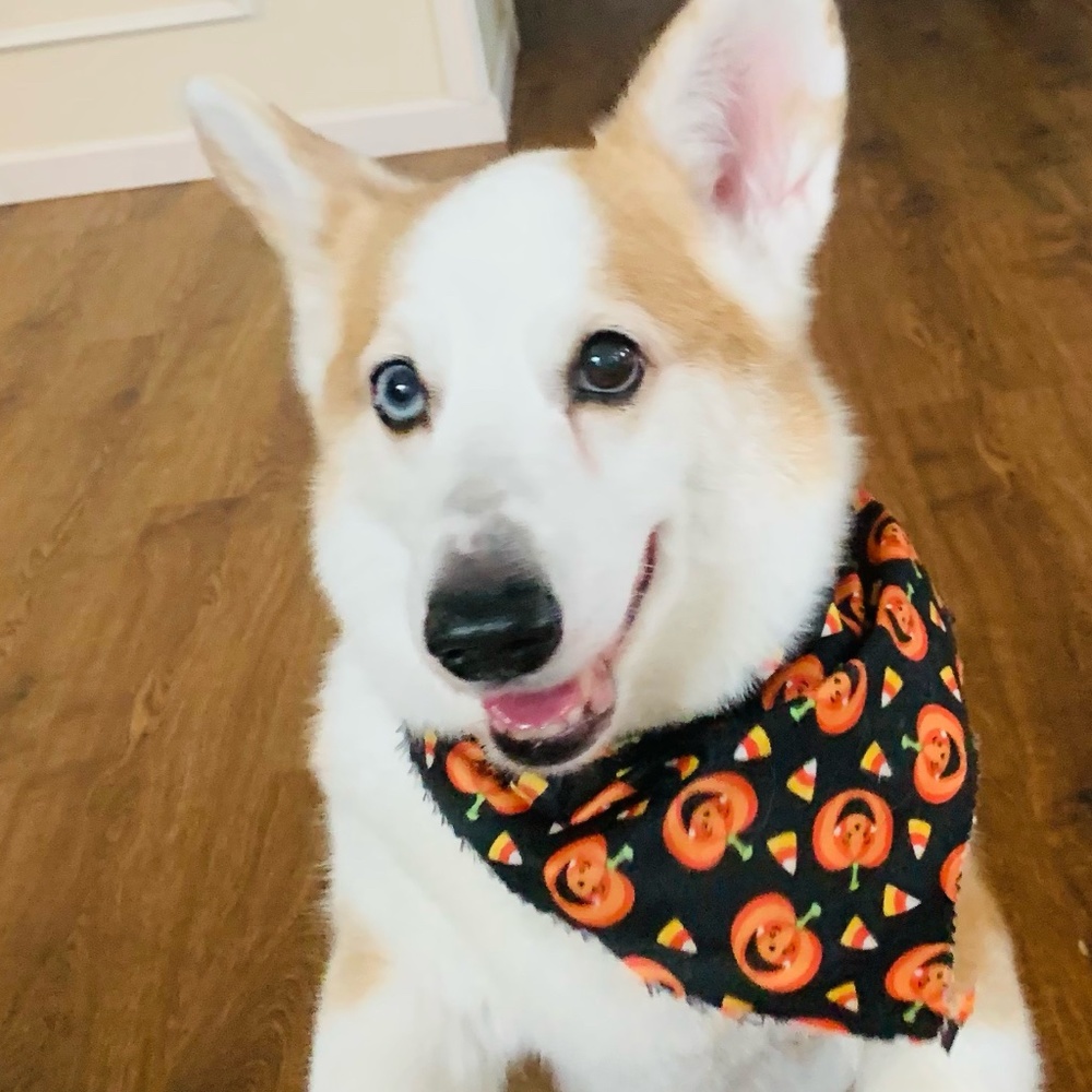 Meet your Posher, Rachel!